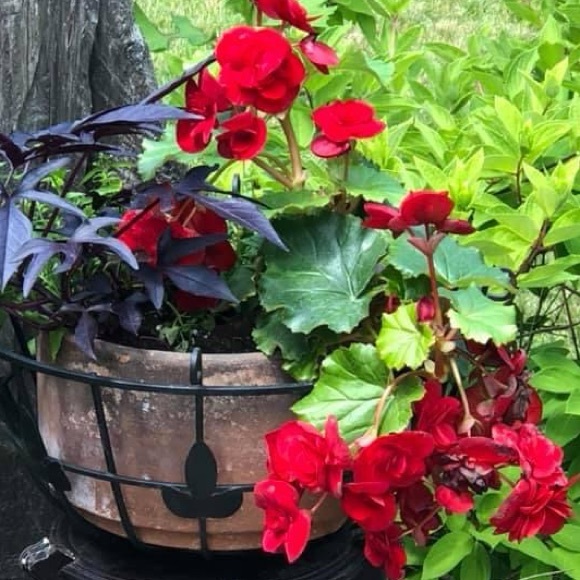 Meet your Posher, Bonowa - Picture 1 of 1